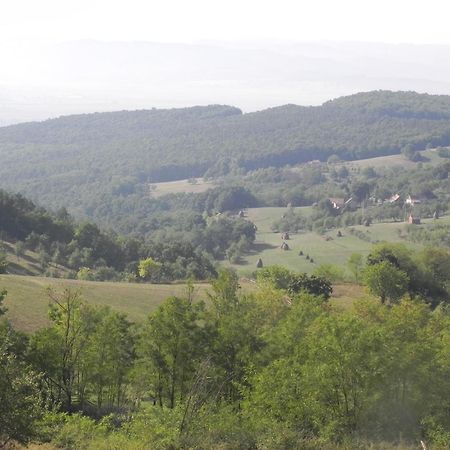ホテル Iedera Casa De Familii 1 Pianu de Sus エクステリア 写真