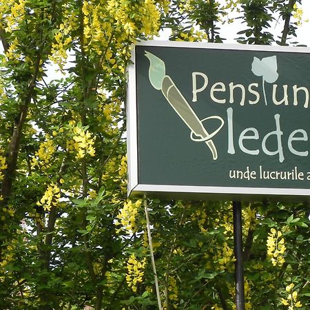 ホテル Iedera Casa De Familii 1 Pianu de Sus エクステリア 写真