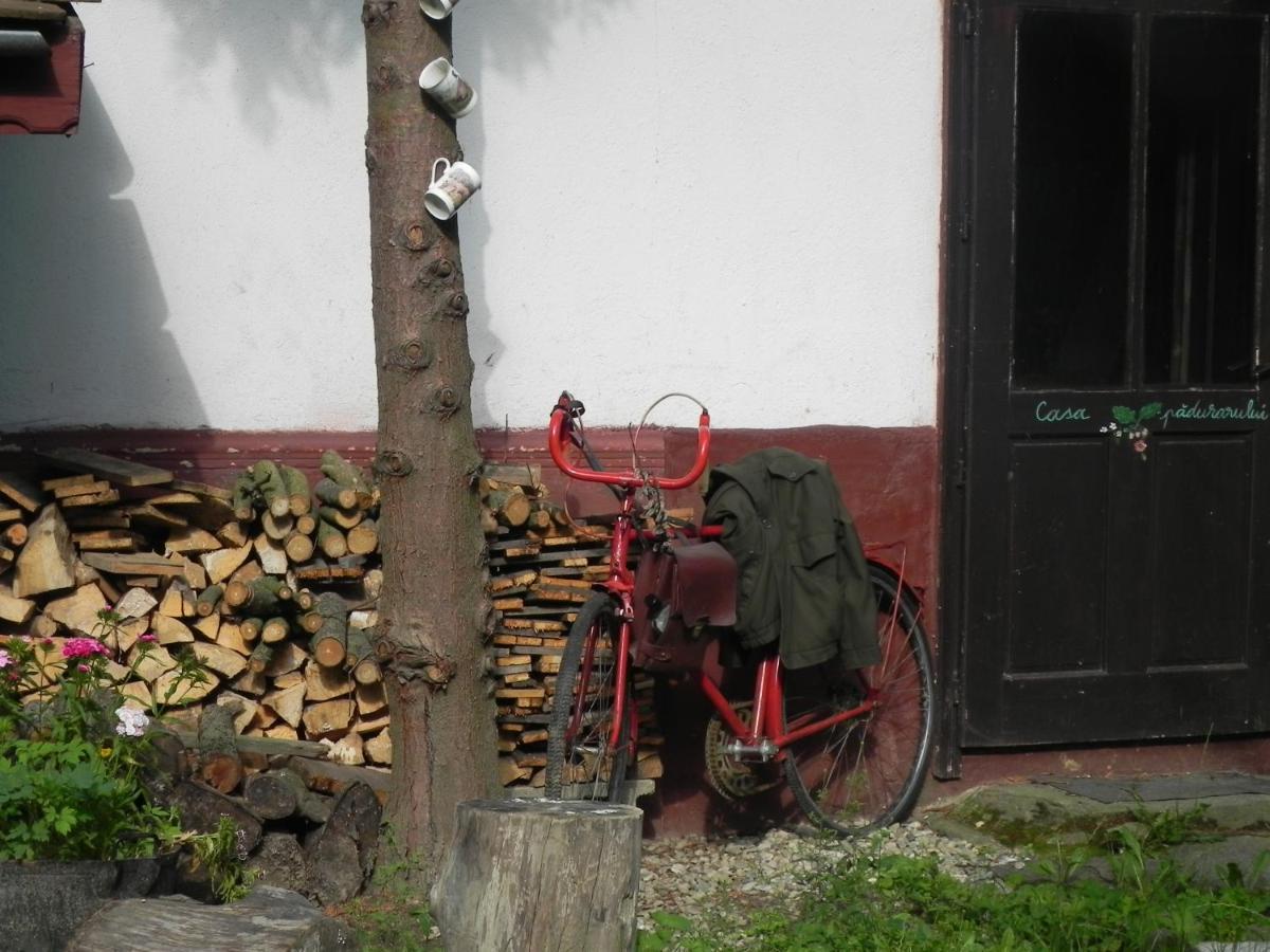 ホテル Iedera Casa De Familii 1 Pianu de Sus エクステリア 写真