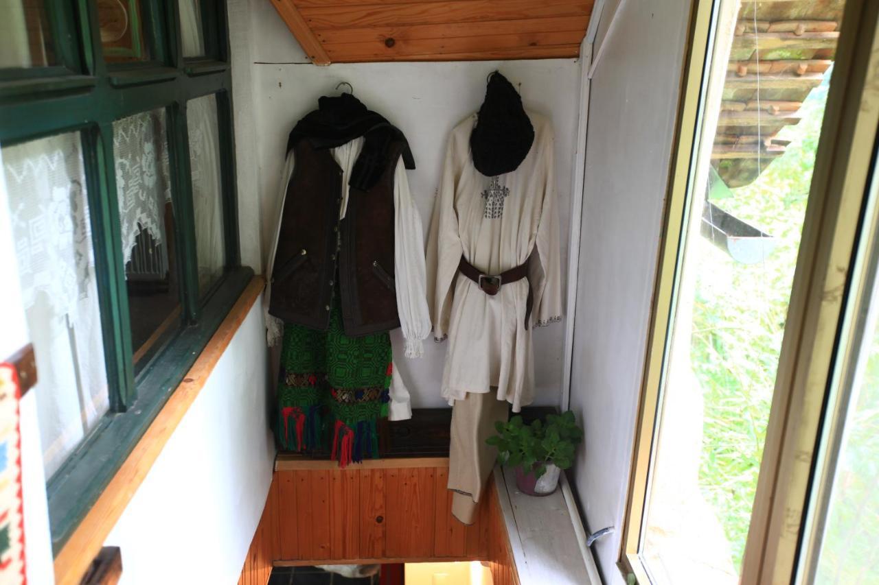 ホテル Iedera Casa De Familii 1 Pianu de Sus エクステリア 写真