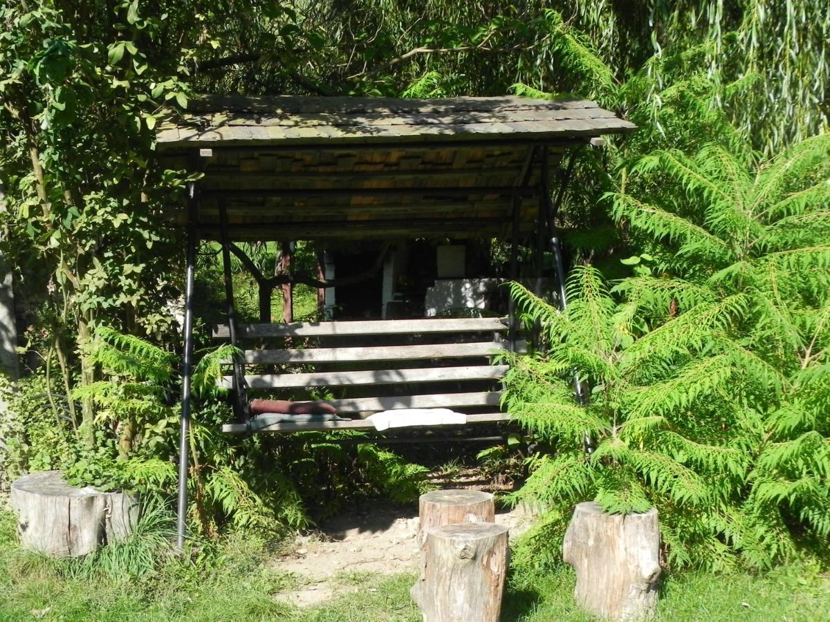 ホテル Iedera Casa De Familii 1 Pianu de Sus エクステリア 写真
