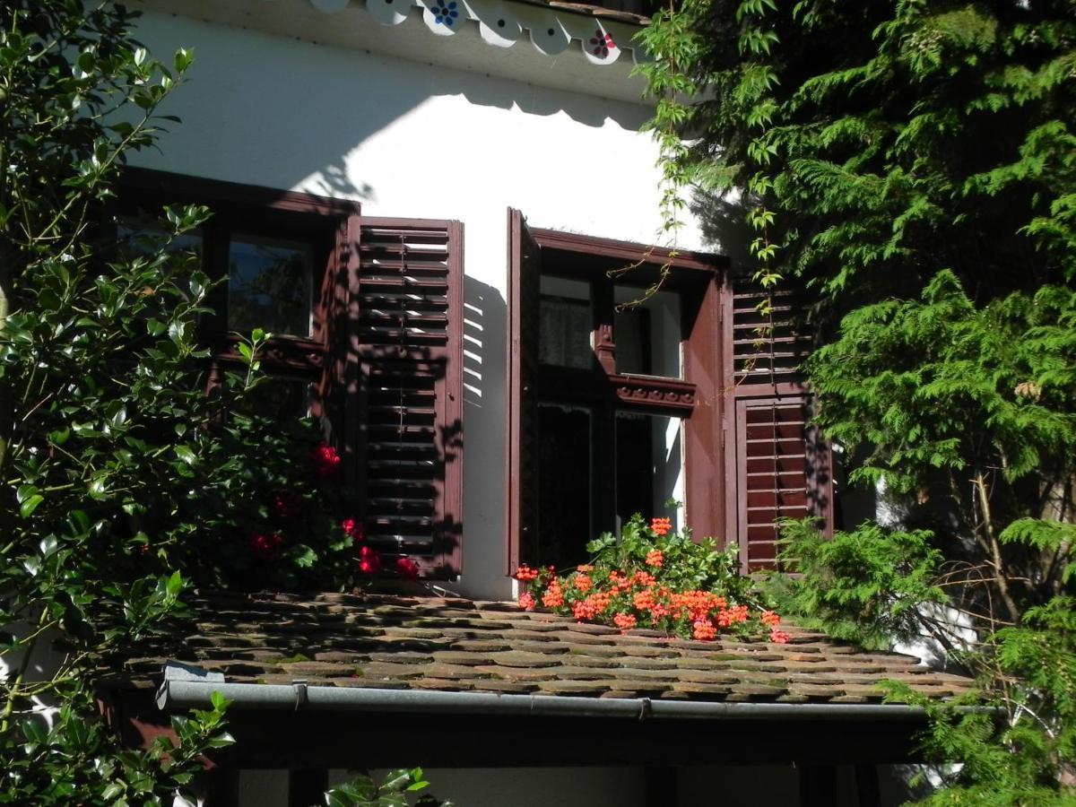 ホテル Iedera Casa De Familii 1 Pianu de Sus エクステリア 写真