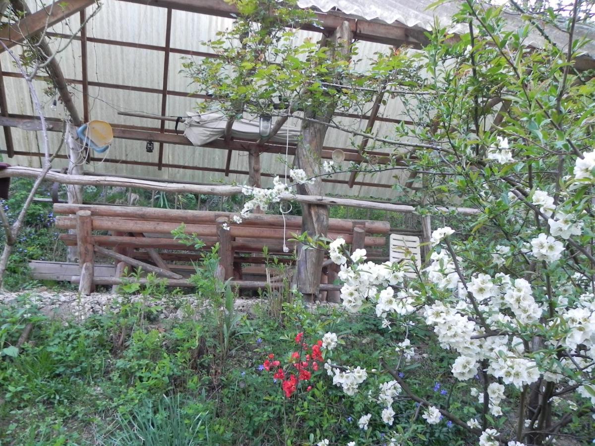 ホテル Iedera Casa De Familii 1 Pianu de Sus エクステリア 写真