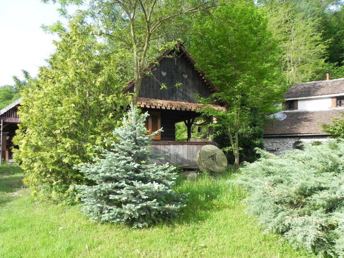 ホテル Iedera Casa De Familii 1 Pianu de Sus エクステリア 写真