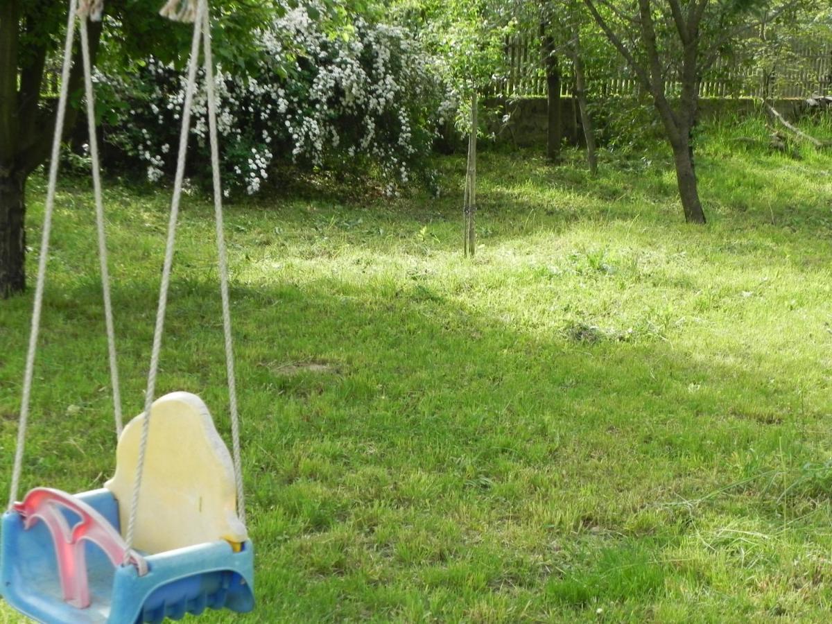 ホテル Iedera Casa De Familii 1 Pianu de Sus エクステリア 写真