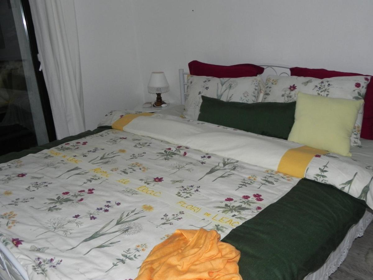 ホテル Iedera Casa De Familii 1 Pianu de Sus エクステリア 写真