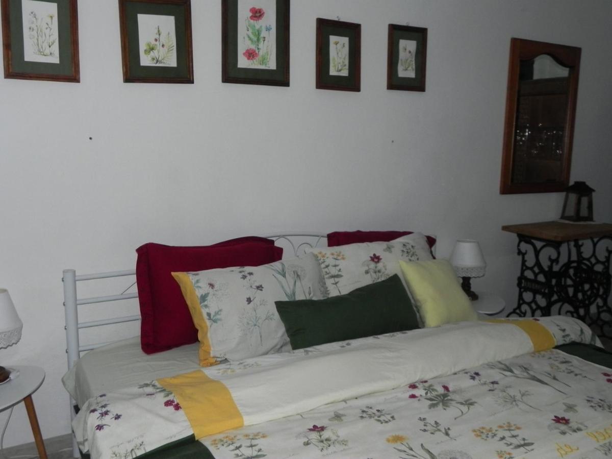 ホテル Iedera Casa De Familii 1 Pianu de Sus エクステリア 写真