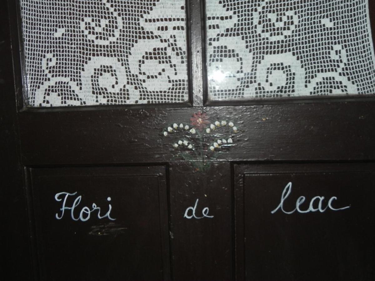 ホテル Iedera Casa De Familii 1 Pianu de Sus エクステリア 写真