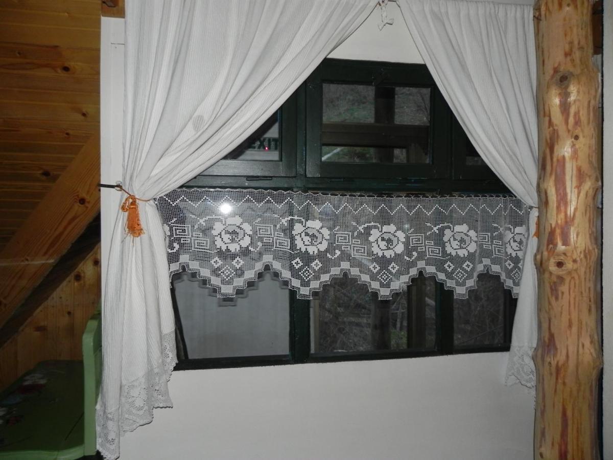 ホテル Iedera Casa De Familii 1 Pianu de Sus エクステリア 写真