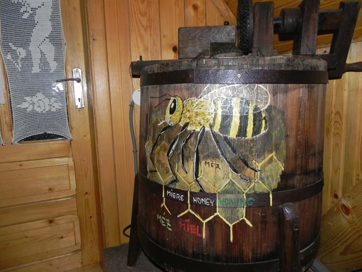 ホテル Iedera Casa De Familii 1 Pianu de Sus エクステリア 写真