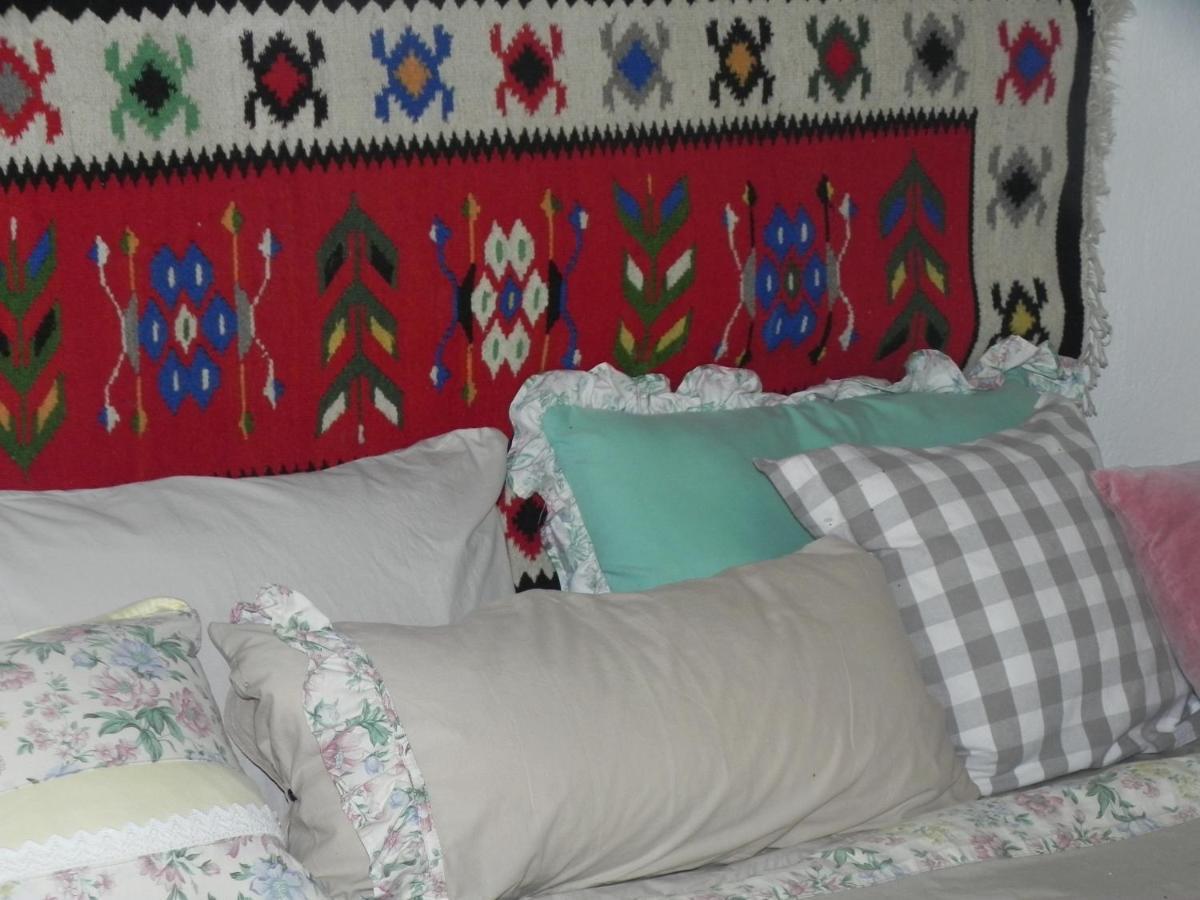 ホテル Iedera Casa De Familii 1 Pianu de Sus エクステリア 写真