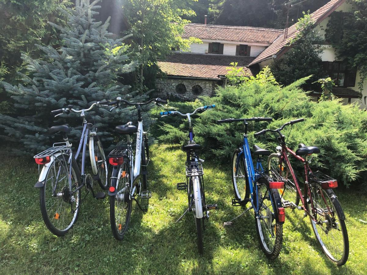 ホテル Iedera Casa De Familii 1 Pianu de Sus エクステリア 写真
