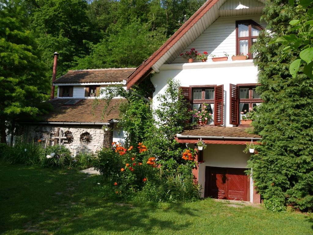 ホテル Iedera Casa De Familii 1 Pianu de Sus エクステリア 写真