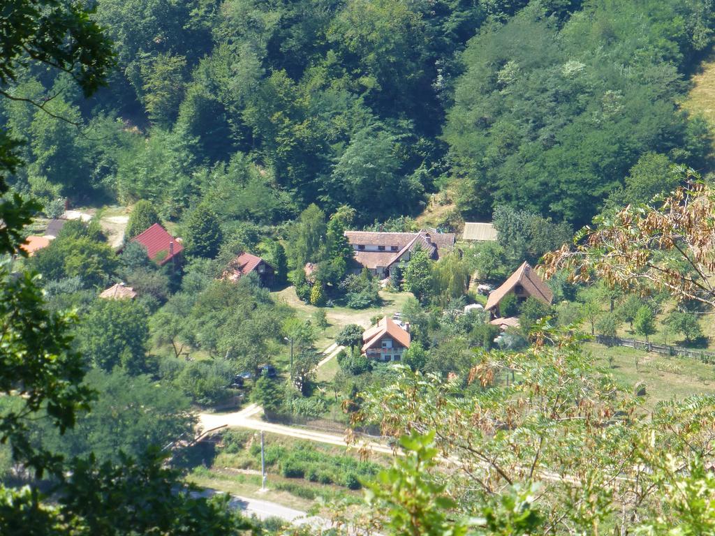 ホテル Iedera Casa De Familii 1 Pianu de Sus エクステリア 写真